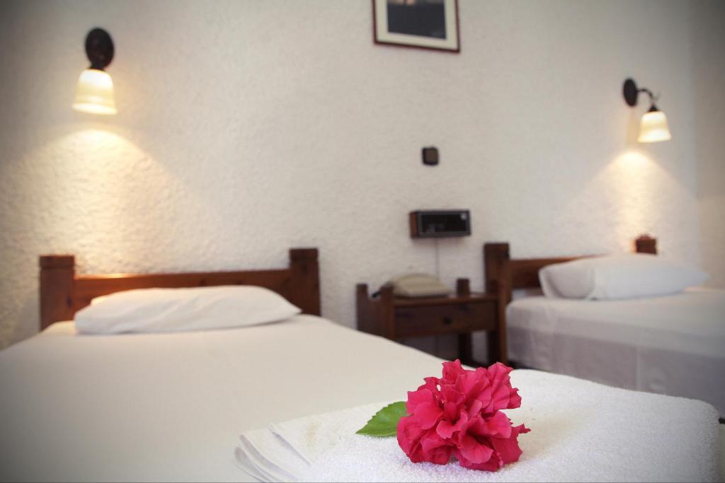 Delfini Apartments Kíszamosz Szoba fotó